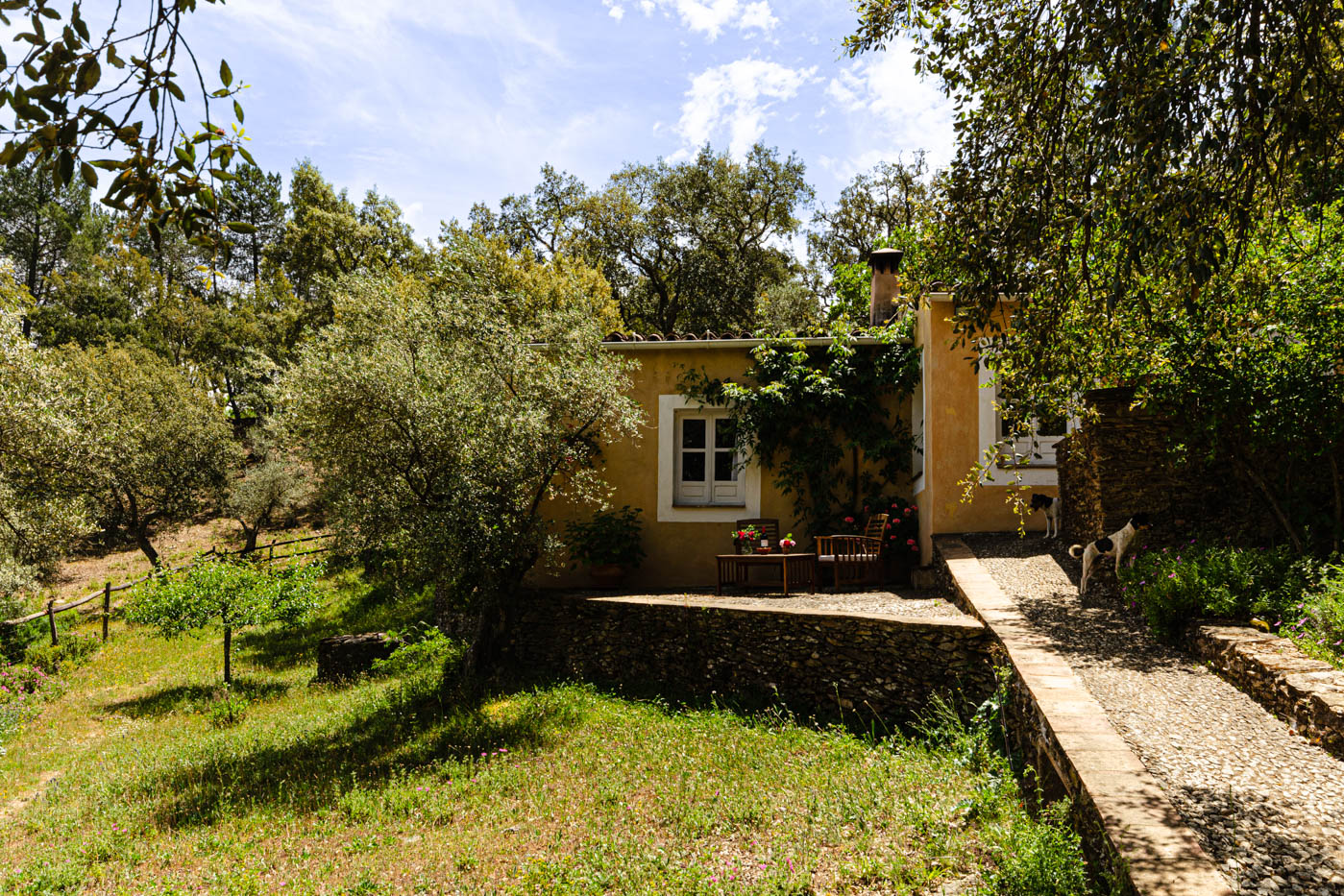 The cottage is above the pool area